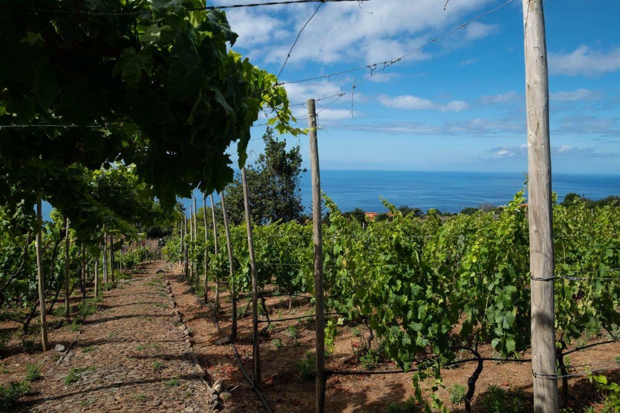 Quinta Das Vinhas Calheta  Exterior foto